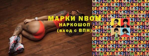 прущие грибы Алексин