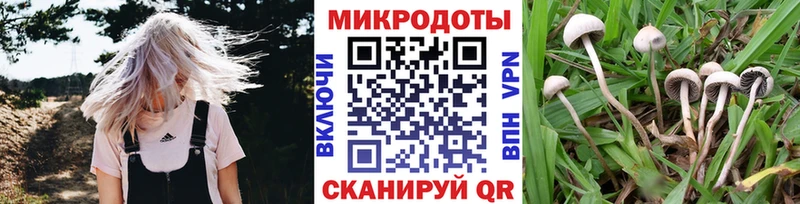 Галлюциногенные грибы Cubensis  магазин продажи   Симферополь 